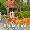 Keukenhof