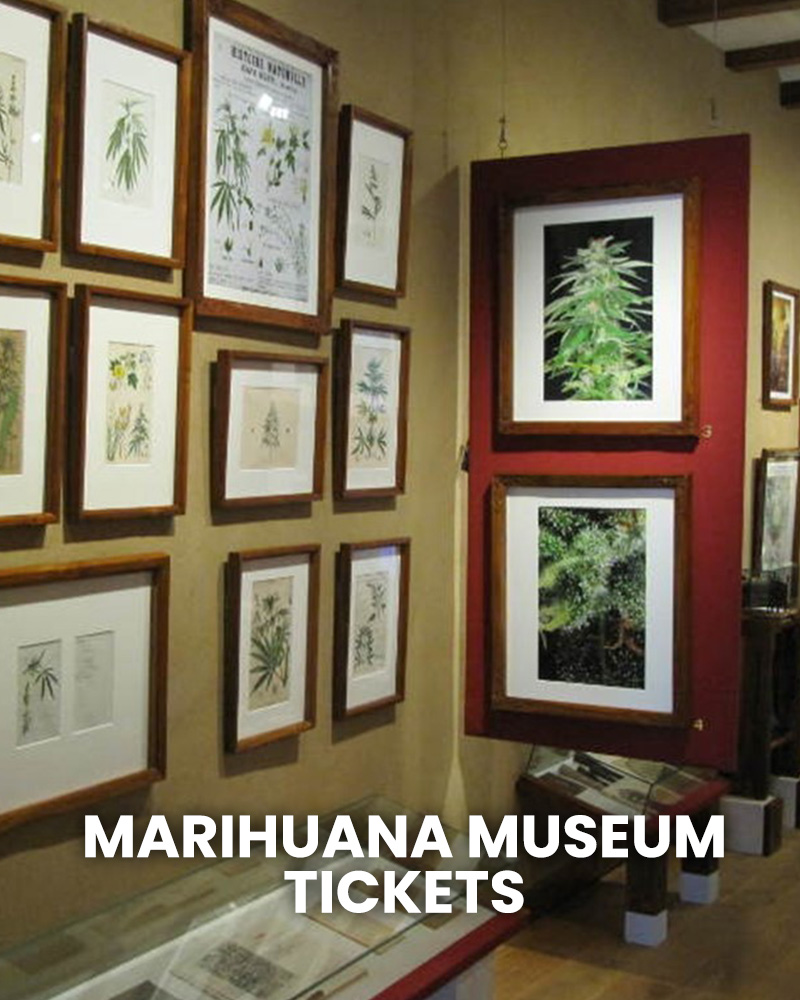 HASH MARIHUANA & HEMP MUSEUM